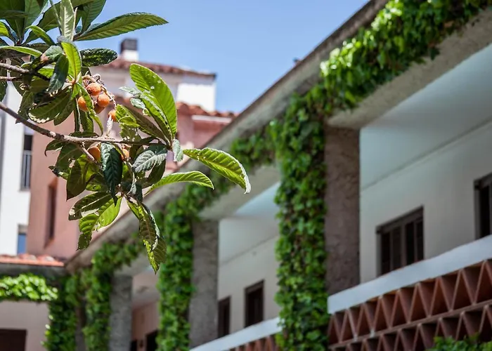 Planas * יורט דה מאר